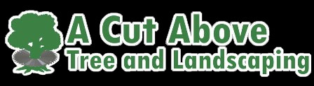 A Cut Above Tree & Landscape, Inc.