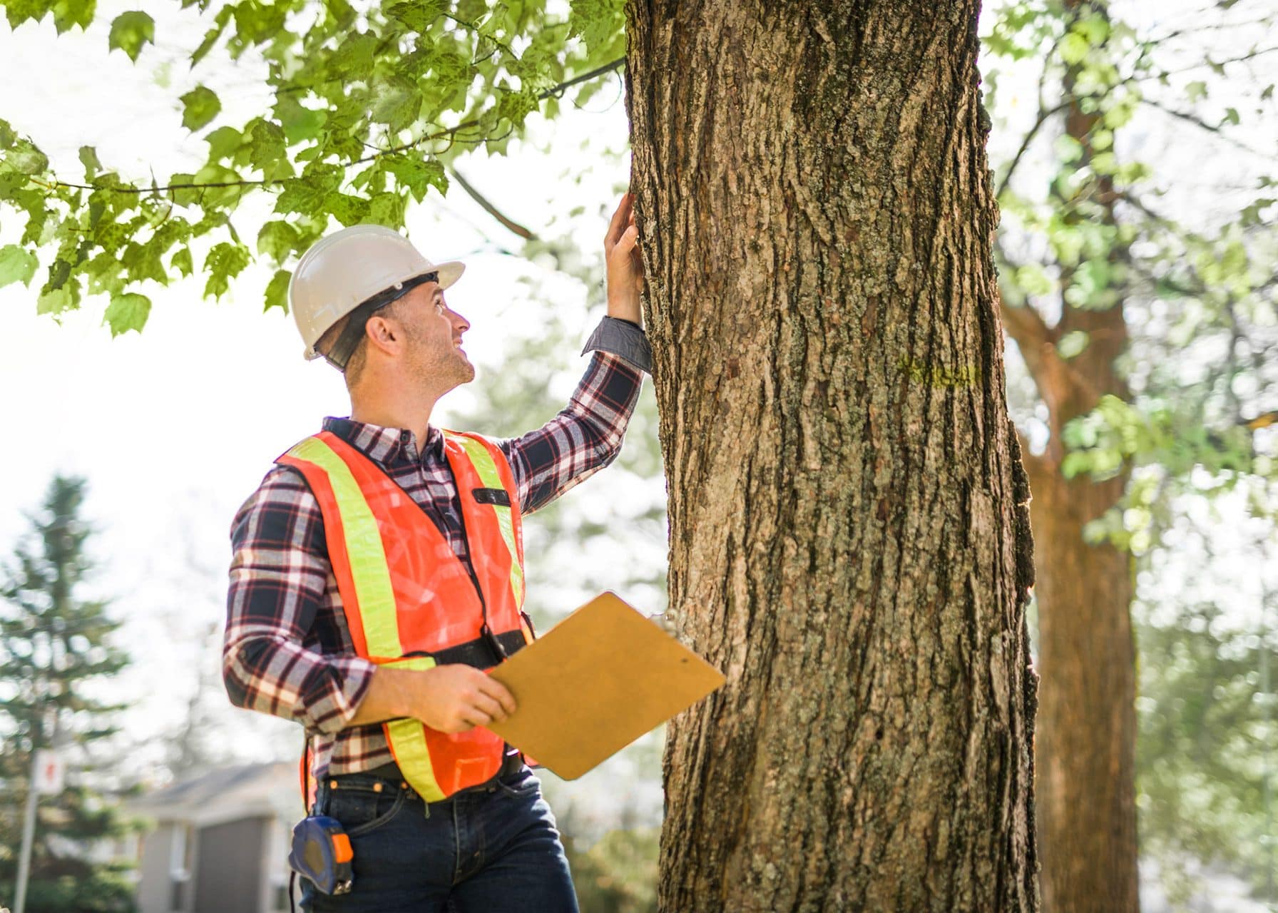 You are currently viewing Why April Is the Best Time for a Tree Inspection