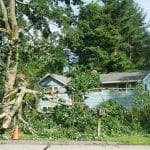 Storm Season 2026: How to Reduce Tree Risks Before Spring in Central Florida
