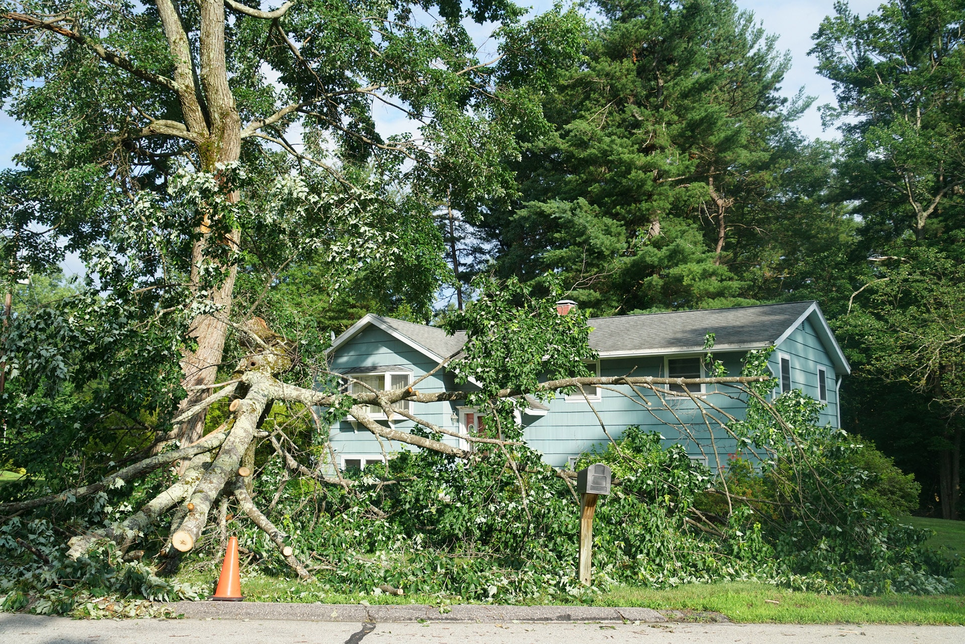 You are currently viewing Storm Season 2026: How to Reduce Tree Risks Before Spring in Central Florida