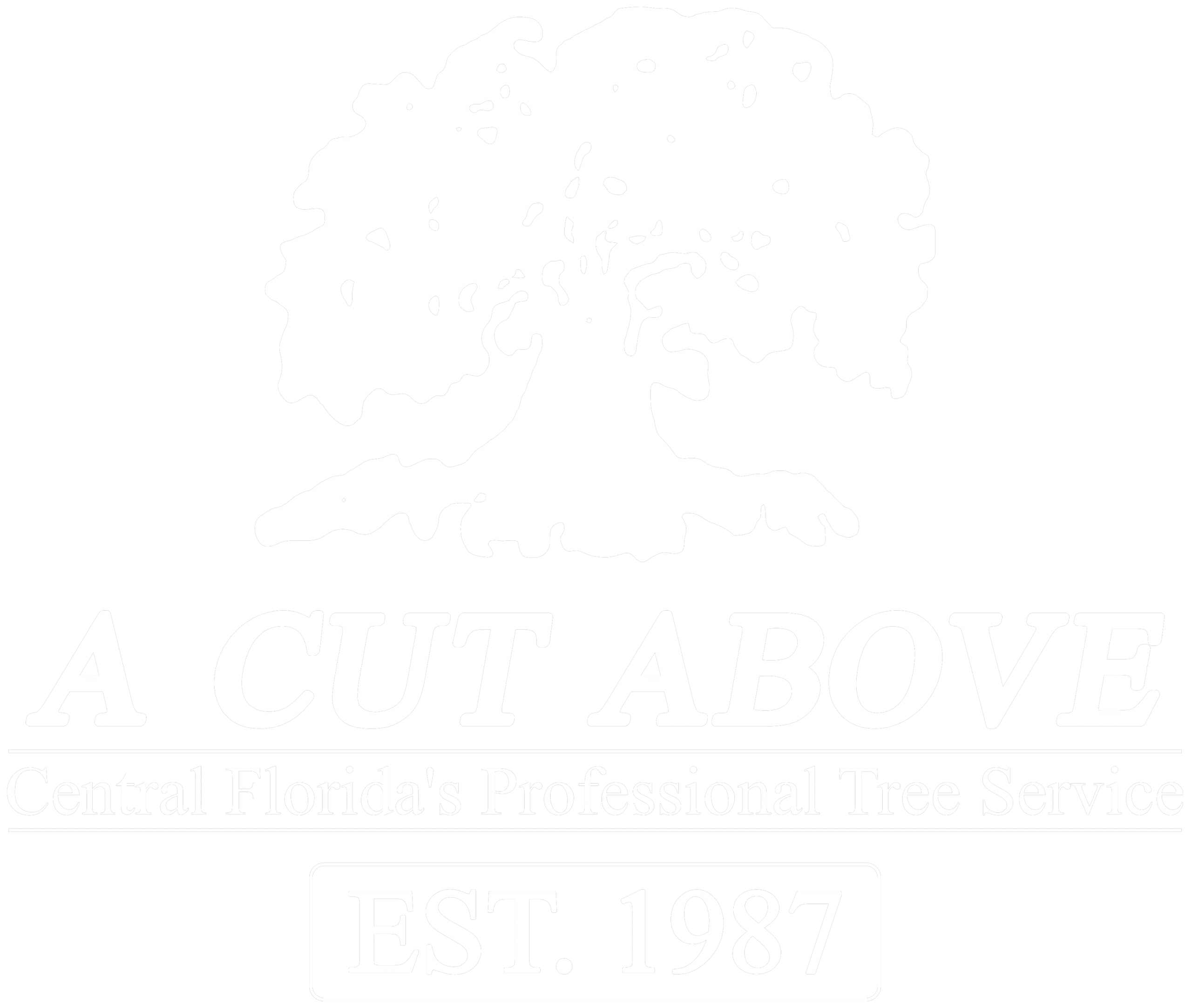 A Cut Above Tree & Landscaping, Inc.